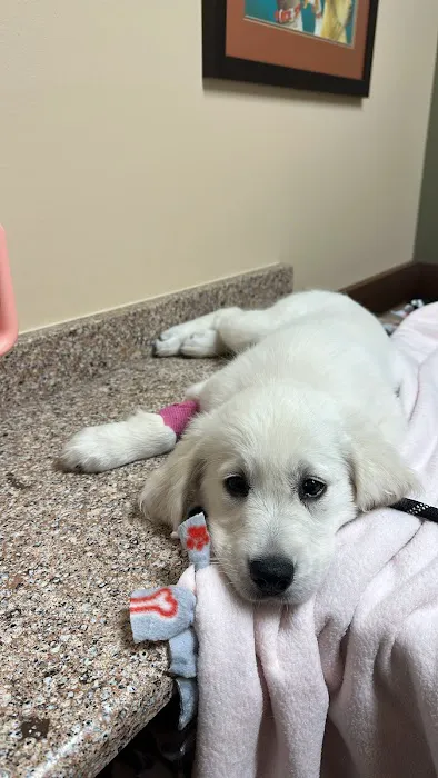 Animal Emergency Center - Novi Picture 10