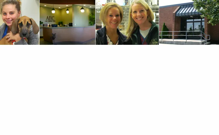 Animal Emergency Center - Novi Picture 9
