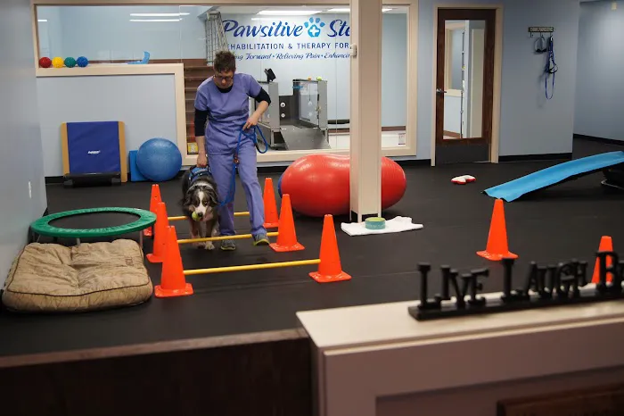 Pawsitive Steps Rehabilitation & Sports Medicine Picture 4