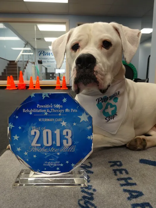 Pawsitive Steps Rehabilitation & Sports Medicine Picture 2