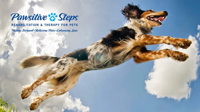 Pawsitive Steps Rehabilitation & Sports Medicine Picture 1