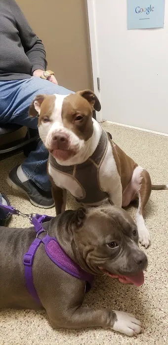 Rochester Veterinary Hospital Picture 4
