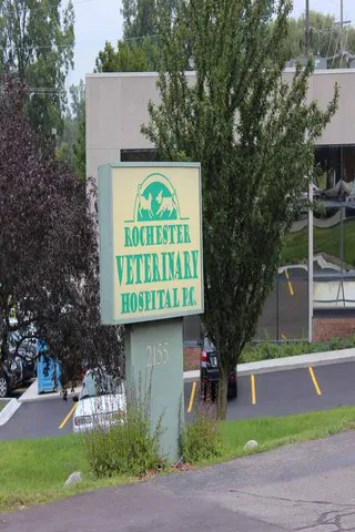 Rochester Veterinary Hospital Picture 9