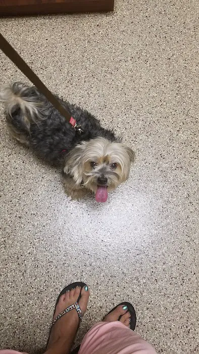 Rochester Veterinary Hospital Picture 8
