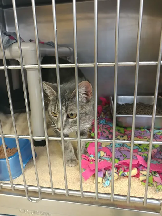 Michigan Humane Rochester Hills Veterinary Clinic Picture 5