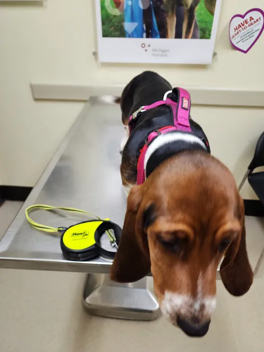 Michigan Humane Rochester Hills Veterinary Clinic Picture 8