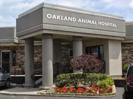 Oakland Animal Hospital Picture 3