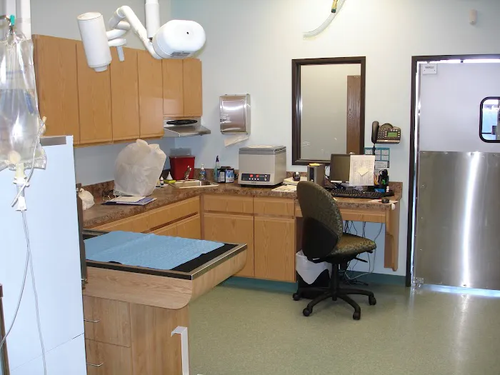 Pets Ahoy Animal Hospital Picture 10