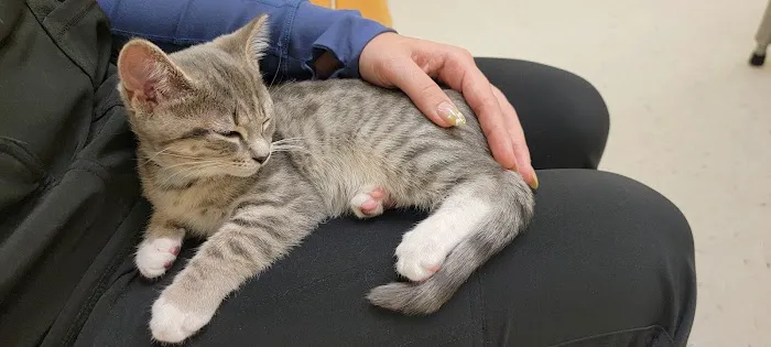 Banfield Pet Hospital Picture 3