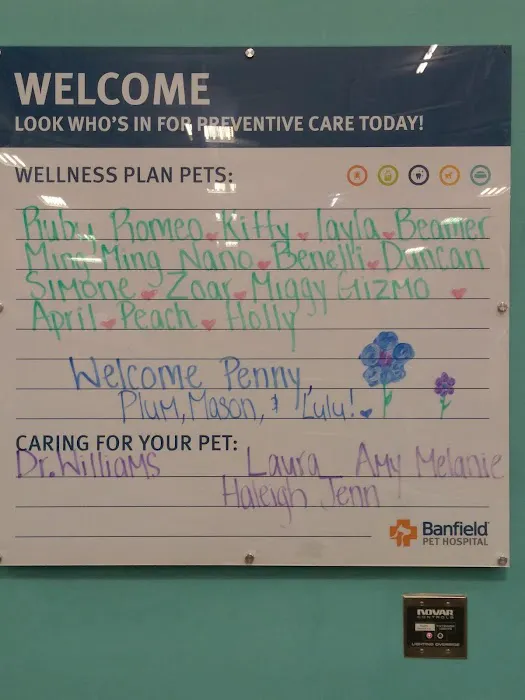 Banfield Pet Hospital Picture 8