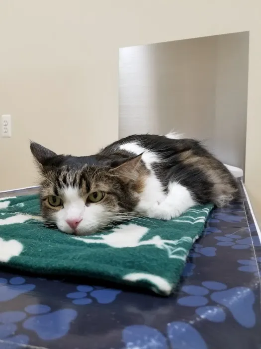Macomb Center Veterinary Hospital Picture 2