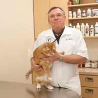 Macomb Center Veterinary Hospital ico