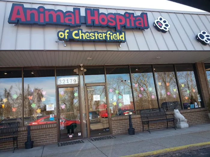Animal Hospital of Chesterfield Picture 2