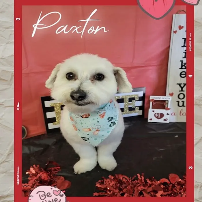 Bloomfield Pointe Veterinary Hospital Picture 7