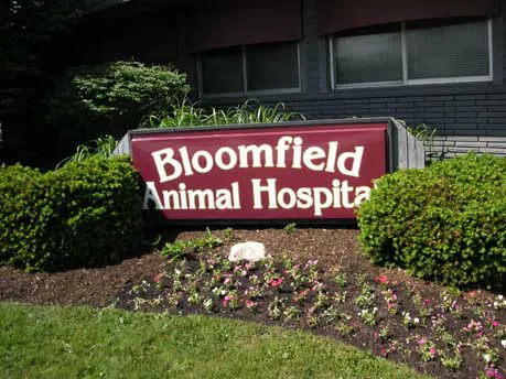 Bloomfield Animal Hospital Picture 7