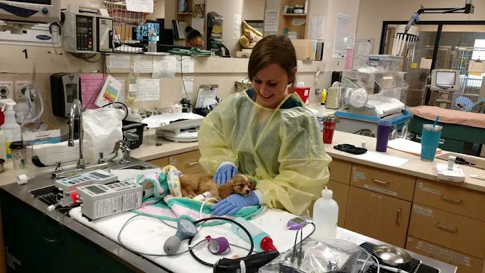 Oakland Veterinary Referral Services Picture 2