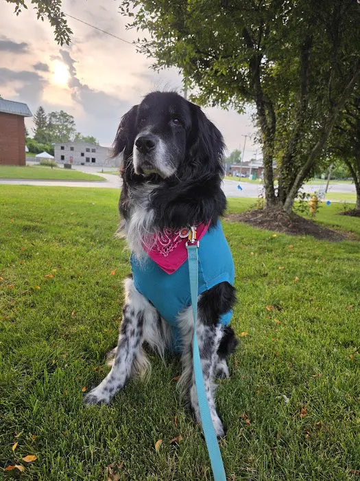 Oakland Veterinary Referral Services Picture 7