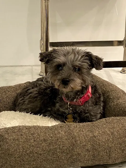 Oakland Veterinary Referral Services Picture 10