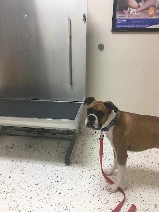 Lisner Animal Hospital Picture 4