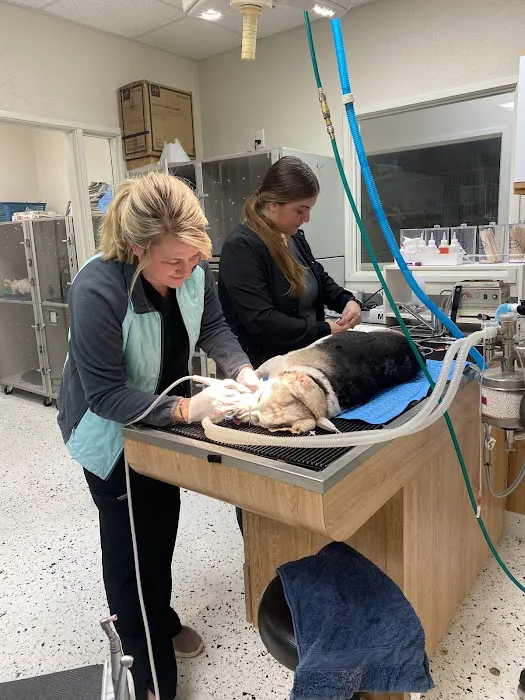 Lisner Animal Hospital Picture 8