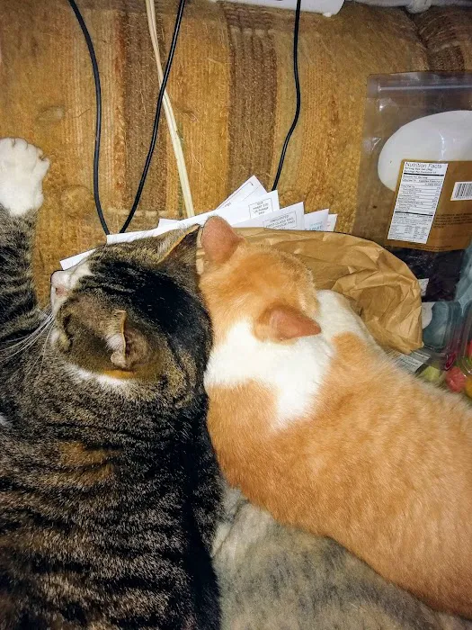 Commerce Animal Hospital Picture 4
