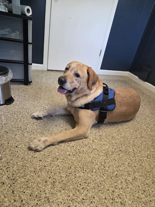Walled Lake Veterinary Hospital Picture 1