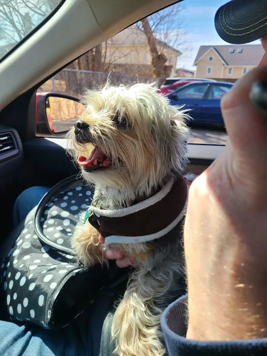 VetSelect Animal Hospital of Novi Picture 3