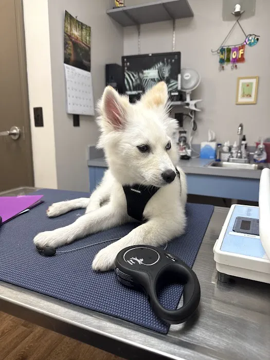 VetSelect Animal Hospital of Novi Picture 5