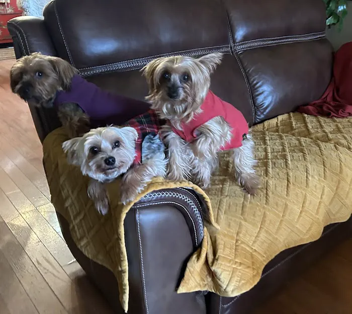 Cool Springs Animal Hospital Picture 8