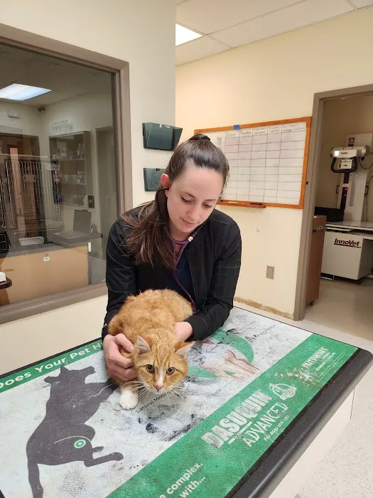 Animal Ark Animal Hospital Picture 5