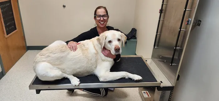 Animal Ark Animal Hospital Picture 7