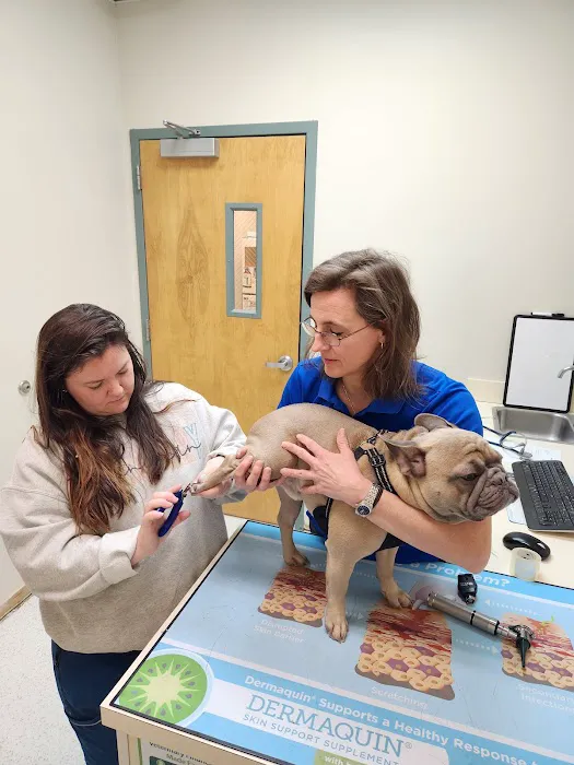 Animal Ark Animal Hospital Picture 4