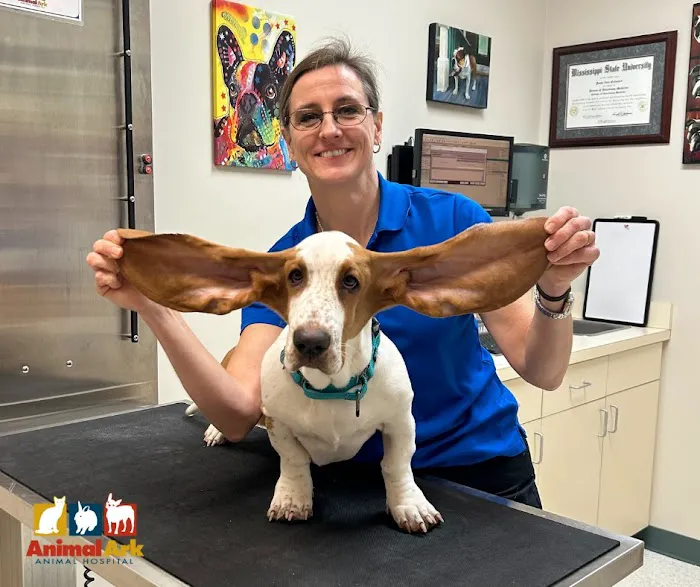 Animal Ark Animal Hospital Picture 6