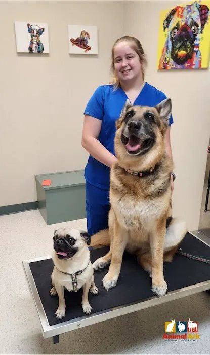 Animal Ark Animal Hospital Picture 8