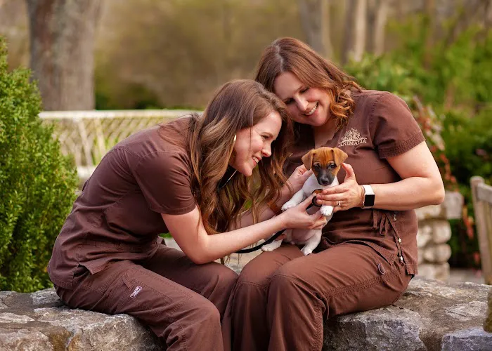 Animalia Health & Wellness Picture 3