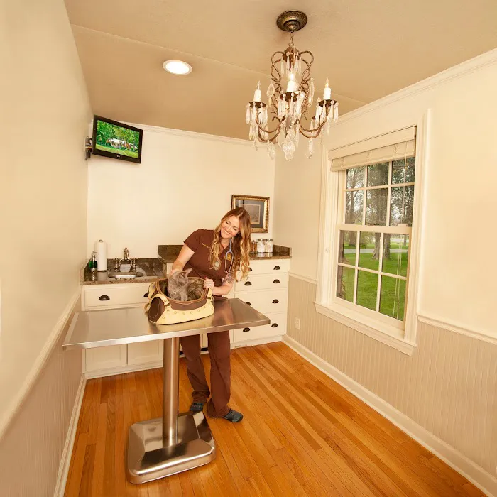Animalia Health & Wellness Picture 6