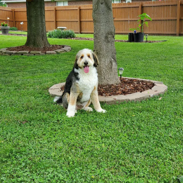 McMillan Veterinary Clinic Picture 10