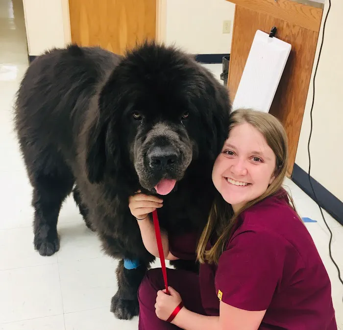 Critter Clinic Picture 6