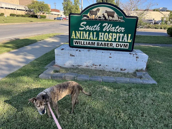 South Water Animal Hospital Picture 3