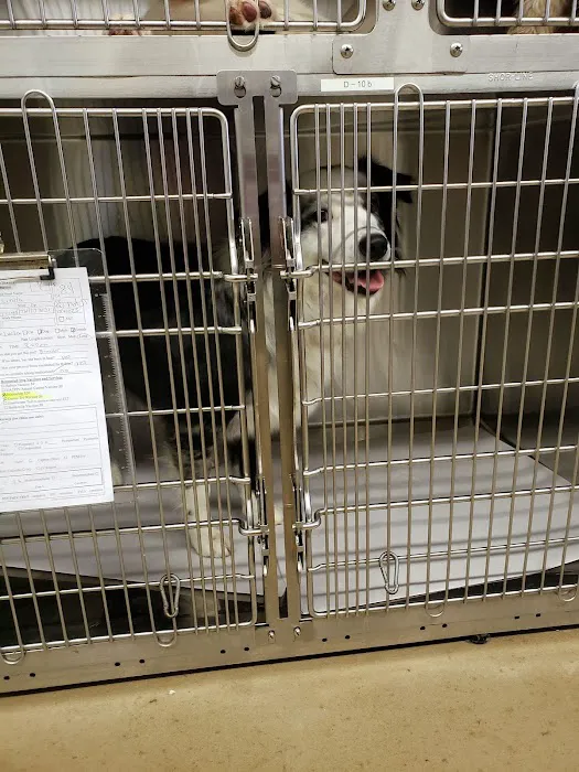 Sumner Spay Neuter Alliance Picture 7