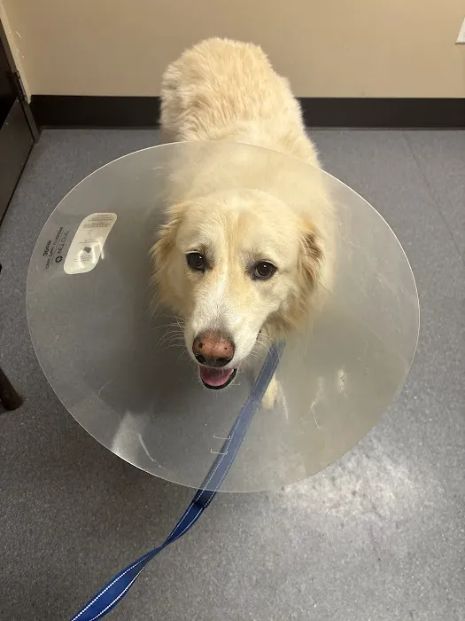 Cumberland Animal Hospital Picture 4