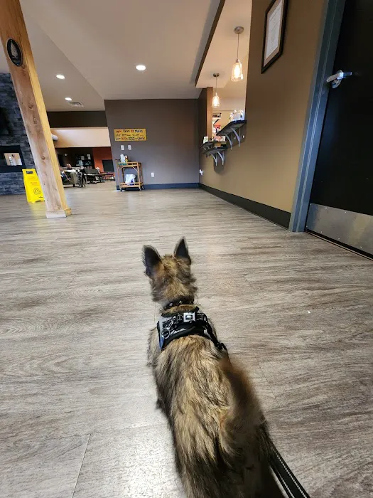 Cumberland Animal Hospital Picture 8