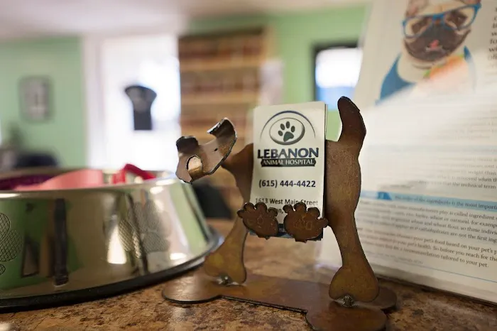Lebanon Animal Hospital Picture 2