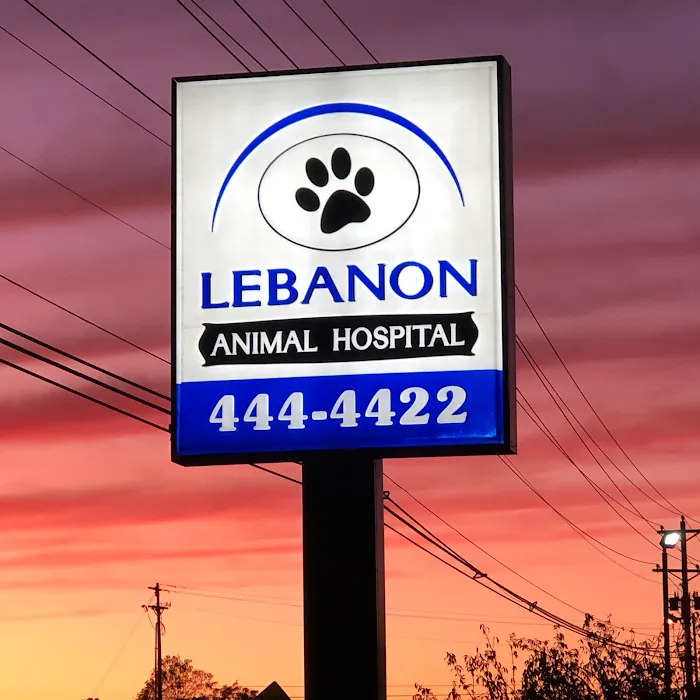 Lebanon Animal Hospital Picture 5