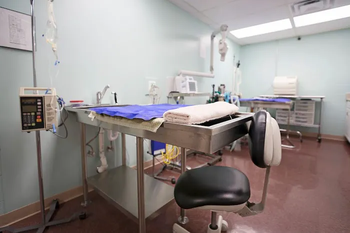 Lebanon Animal Hospital Picture 7