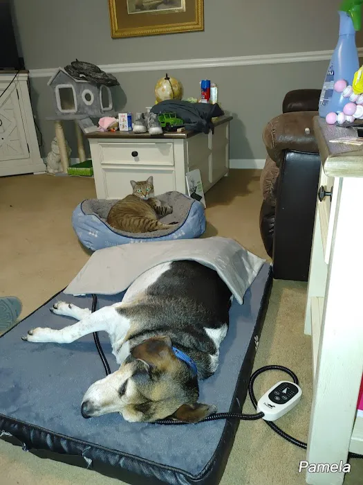 Pets R Us Vet Picture 2
