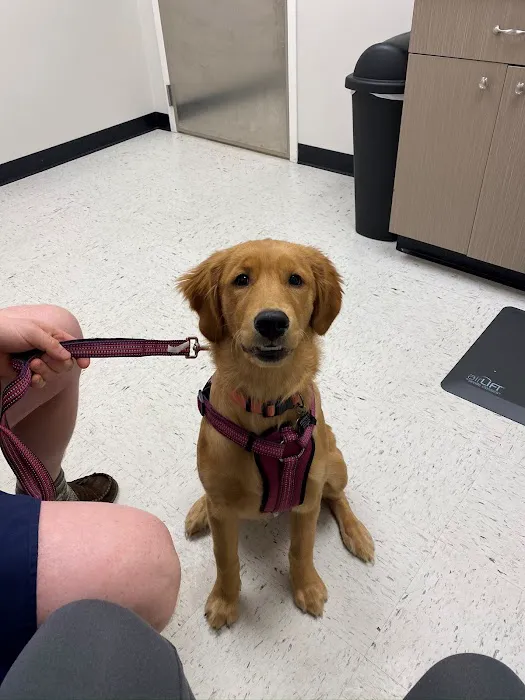 Pets R Us Vet Picture 6