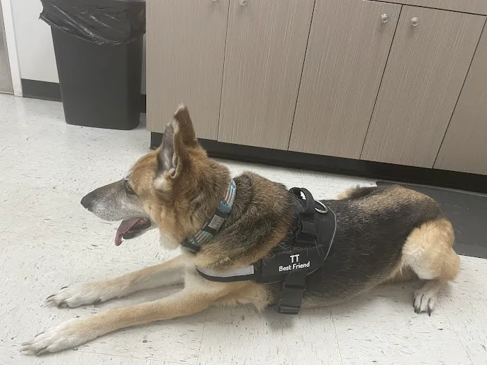 Pets R Us Vet Picture 3