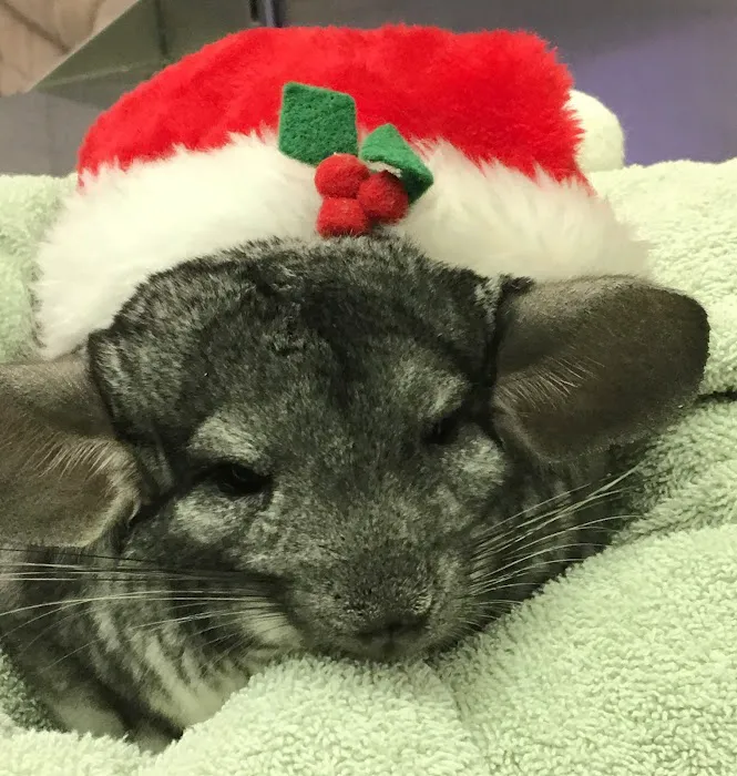 Warren Animal Hospital Picture 9