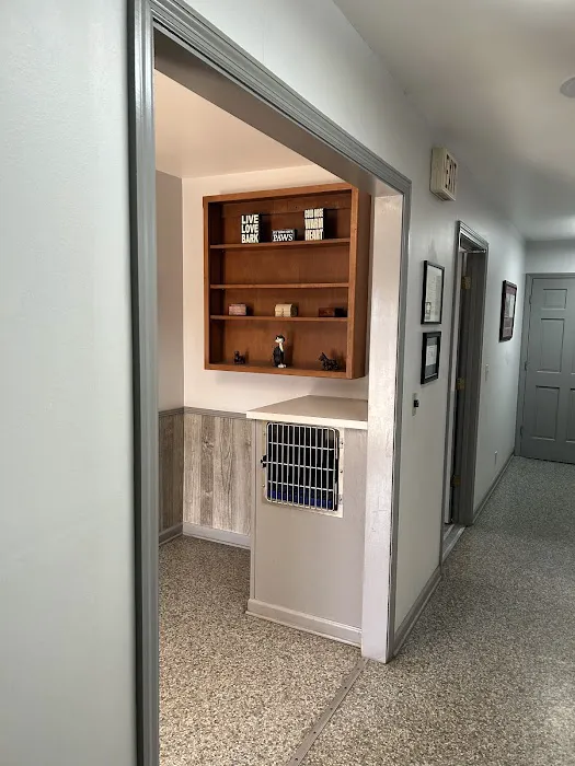 Veterinary Associates of Murfreesboro Picture 10